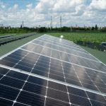 Consiliul Concurenței caută soluții pentru simplificarea procedurii de punere în funcțiune a noi capacități de producere a energiei regenerabile